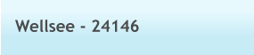 Wellsee - 24146