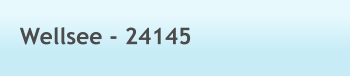 Wellsee - 24145